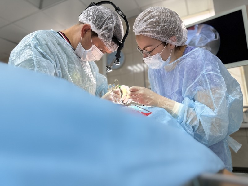 Лечение перфорации носовой перегородки